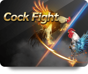 VF555 Bet Online Customer Support: What You Need to Know